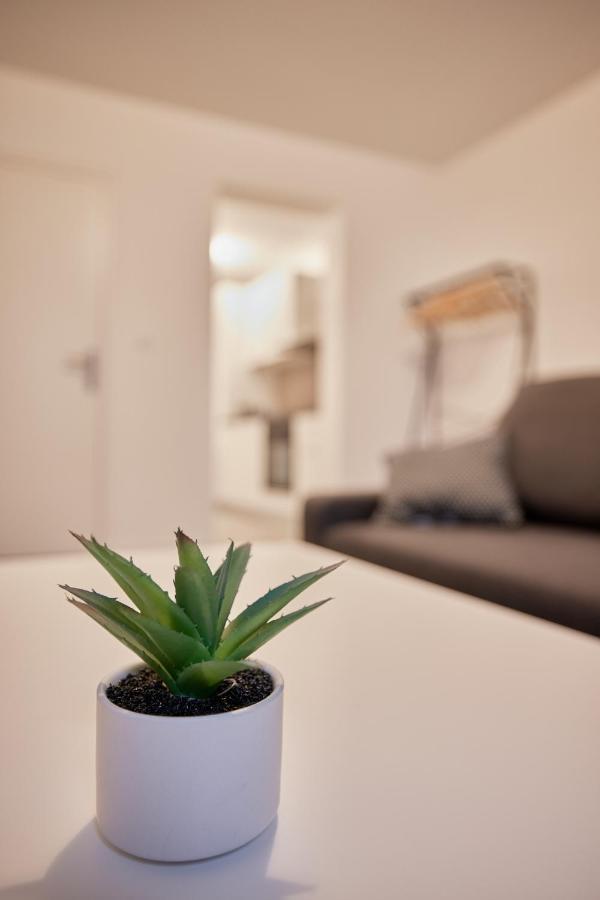 T2Lescordeliers Apartment Pamiers Luaran gambar